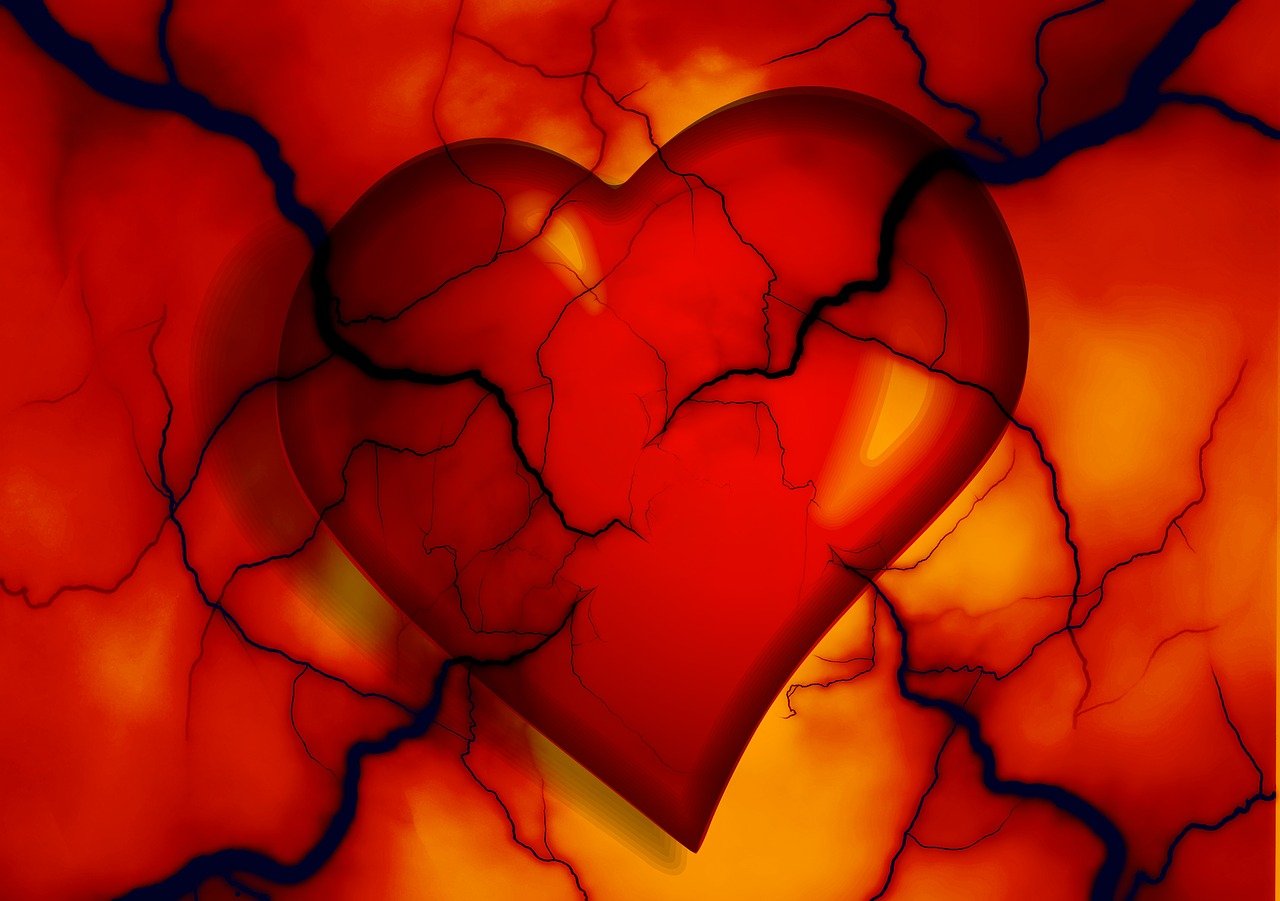 Healthtech Industry Update | Digital Technology in Heart Health Care and Monitoring for Cardiac Patients