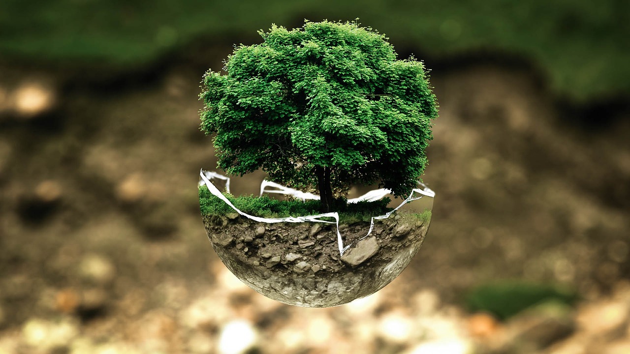 Thaumatec HealthTech Industry Update | Advances in Environmental Health Tech in 2025