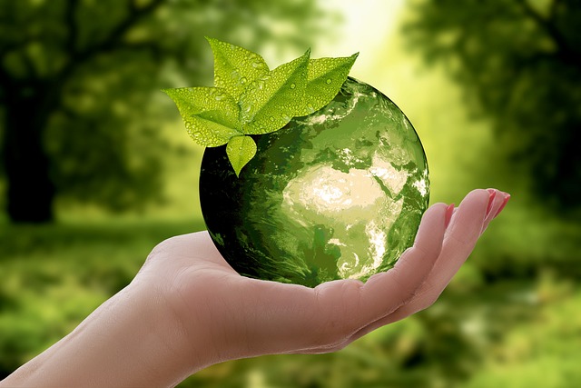 Thaumatec HealthTech Industry Update | Advances in sustainability of Hospitals
